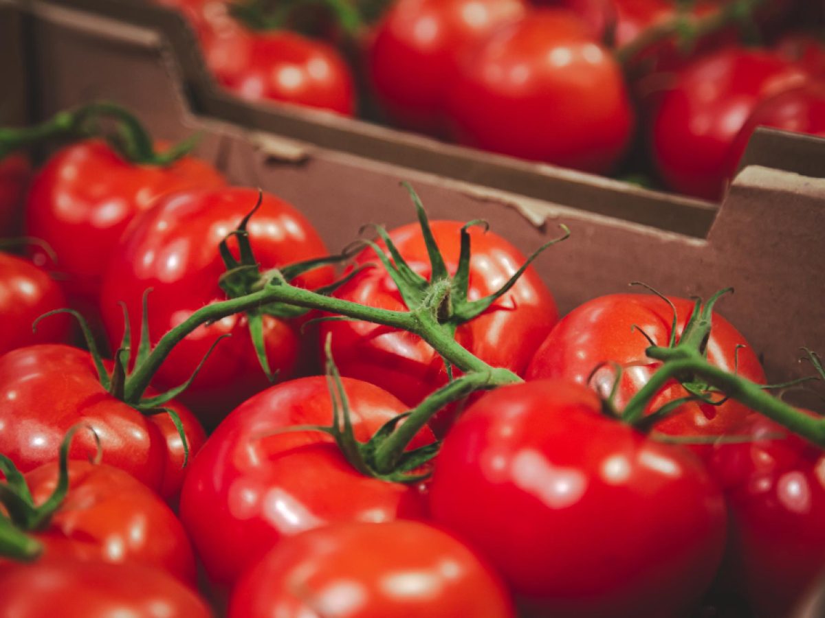 Μέχρι 27 Φεβρουαρίου η ανανέωση εγγραφής στο “ΜΕΝΟ”