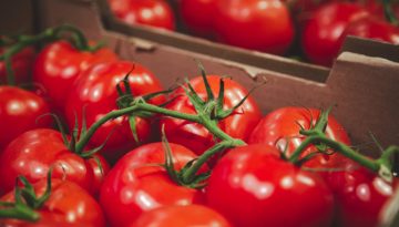 Μέχρι 27 Φεβρουαρίου η ανανέωση εγγραφής στο “ΜΕΝΟ”