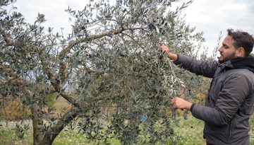 Μέχρι  28 Φεβρουαρίου η ανανέωση ασφαλιστικής ικανότητας αγροτών