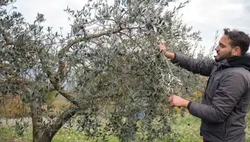 &Mu;έ&chi;&rho;&iota;  28 &Phi;&epsilon;&beta;&rho;&omicron;&upsilon;&alpha;&rho;ί&omicron;&upsilon; &eta; &alpha;&nu;&alpha;&nu;έ&omega;&sigma;&eta; &alpha;&sigma;&phi;&alpha;&lambda;&iota;&sigma;&tau;&iota;&kappa;ή&sigmaf; &iota;&kappa;&alpha;&nu;ό&tau;&eta;&tau;&alpha;&sigmaf; &alpha;&gamma;&rho;&omicron;&tau;ώ&nu;