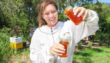 Μελισσοκομία Κύπρου: Μειωμένη παραγωγή και πίεση από την ανομβρία στον μελισσοκομικό τομέα το 2025