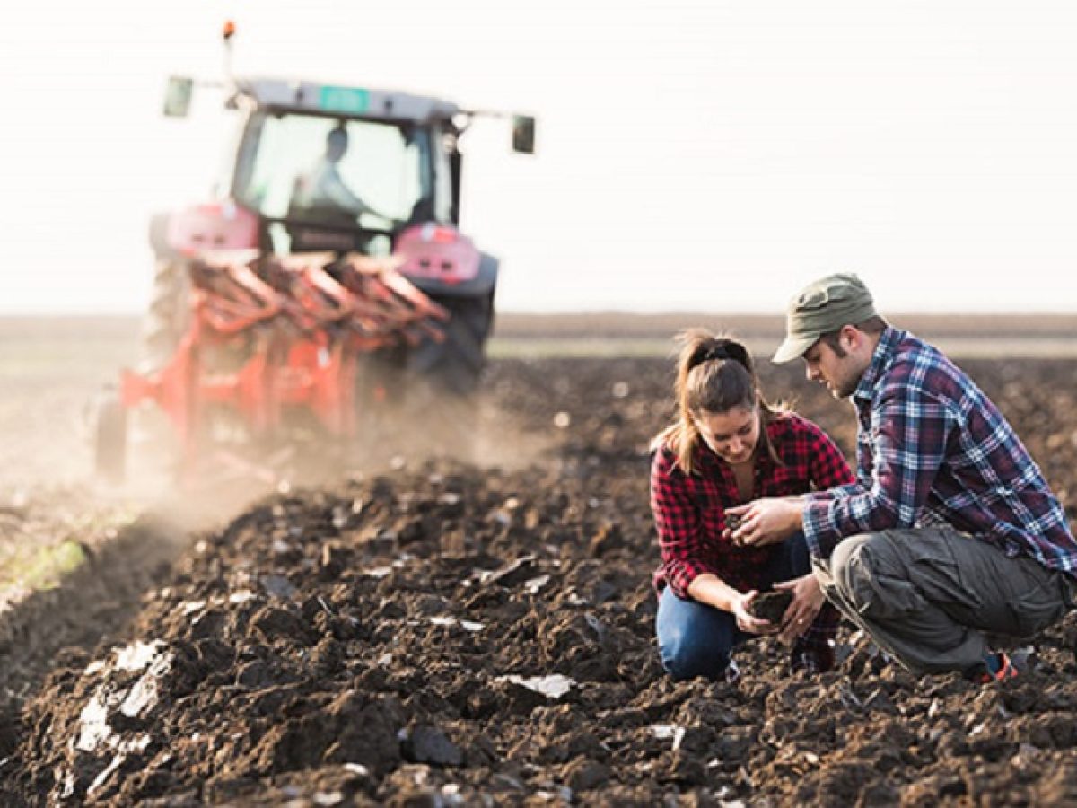 Νέοι αγρότες: Αλλαγές στα προγράμματα κατάρτισης