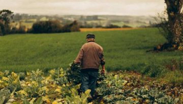 Νέοι Γεωργοί: Αναρτήθηκε από το ΥΠΑΑΤ η τροποποιητική απόφαση για δράσεις κατάρτισης