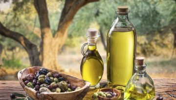 Νέο επιδοτούμενο πρόγραμμα κατάρτισης ανέργων στην ελαιοκομία από τη ΔΥΠΑ