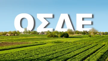 &Omicron;&Sigma;&Delta;&Epsilon; &ndash; &Alpha;&nu;&omicron;ί&gamma;&epsilon;&iota; &gamma;&iota;&alpha; &delta;&iota;&omicron;&rho;&theta;ώ&sigma;&epsilon;&iota;&sigmaf; &epsilon;&nu;&tau;ό&sigmaf; &epsilon;&beta;&delta;&omicron;&mu;ά&delta;&alpha;&sigmaf;