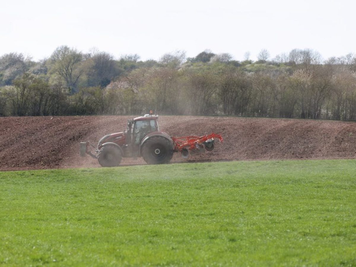 ΟΣΔΕ: Άνοιξε το σύστημα, τι οριστικοποιείται και τι όχι-ποιες πληρωμές ακολουθούν