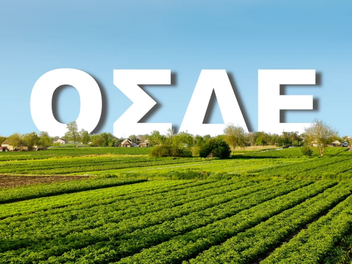 ΟΣΔΕ – Ανοίγει για διορθώσεις εντός εβδομάδας