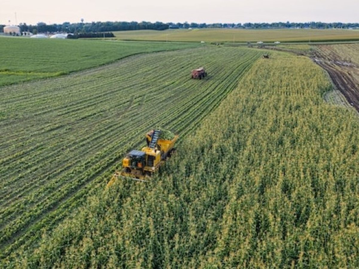 Παράταση «ανάσας» ή προσωρινό μπάλωμα για τους αγρότες;