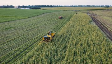 Παράταση «ανάσας» ή προσωρινό μπάλωμα για τους αγρότες;