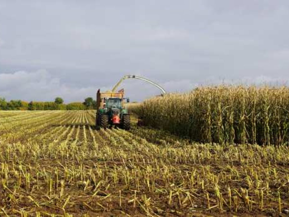 ΠΟΓΕΔΥ: Όταν τα εκατομμύρια χορεύουν, τα “φαντάσματα” πρέπει να ελεγχθούν