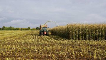 ΠΟΓΕΔΥ: Όταν τα εκατομμύρια χορεύουν, τα “φαντάσματα” πρέπει να ελεγχθούν