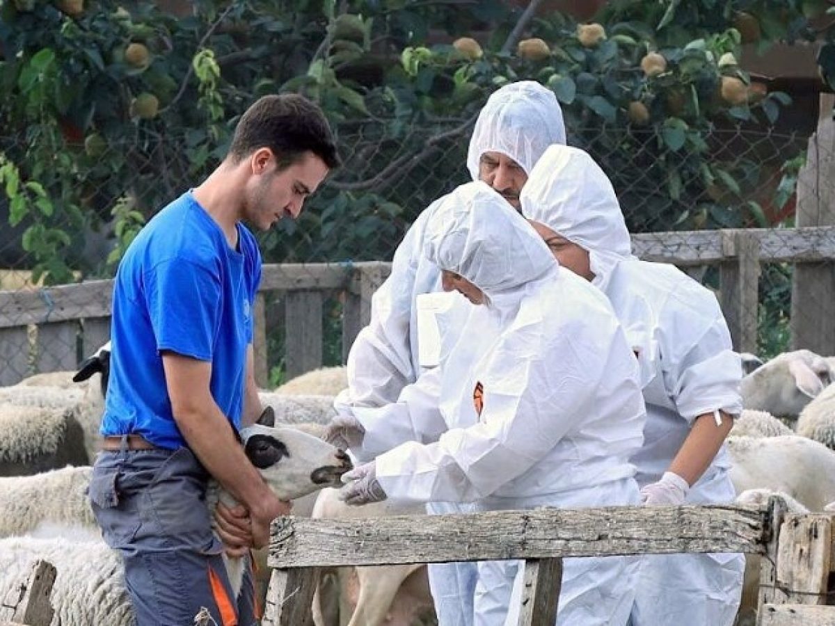 ΠΟΓΕΔΥ: Στον δρόμο με αγρότες
