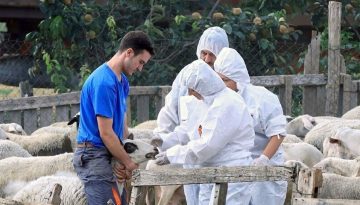 ΠΟΓΕΔΥ: Στον δρόμο με αγρότες