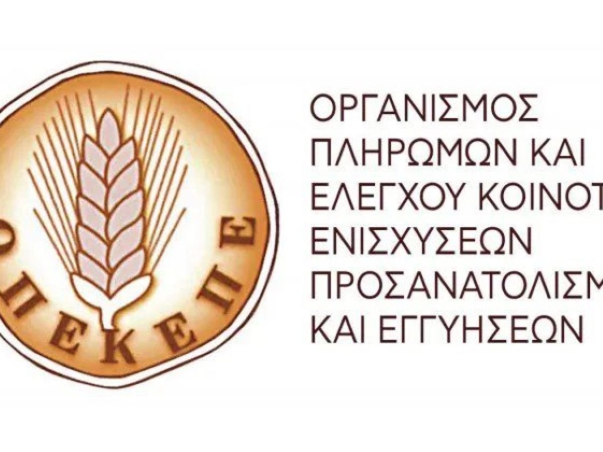 ΠΑΣΟΚ: ΟΠΕΚΕΠΕ και κίνδυνος Χρέους