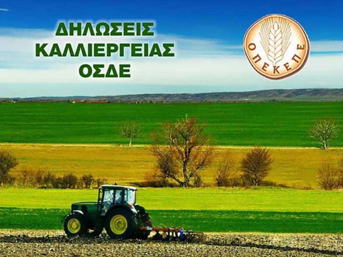 Σε θεσμικό αδιέξοδο το ΟΣΔΕ 2025