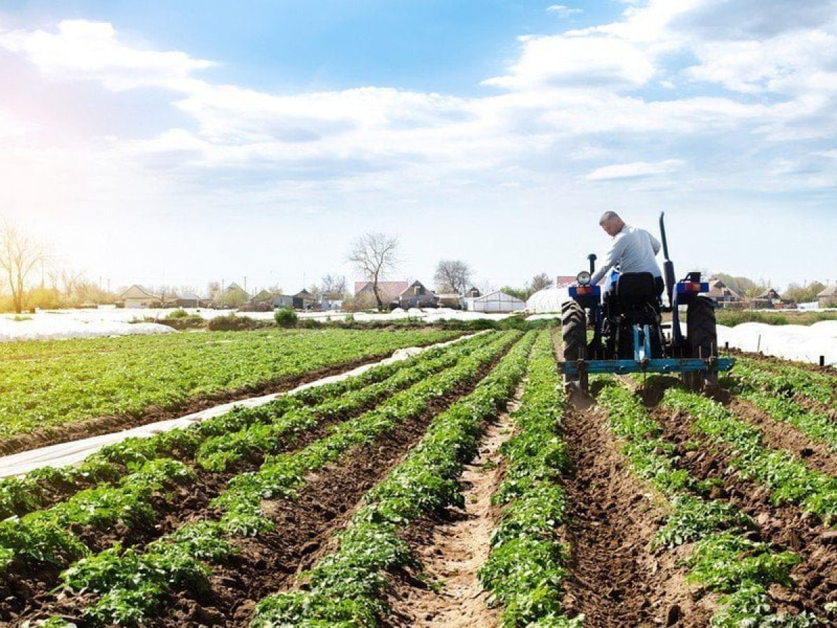 Συνάντηση ΕΘΕΑΣ-ΥπΑΑΤ – Προτάσεις για Σχέδια Βελτίωσης