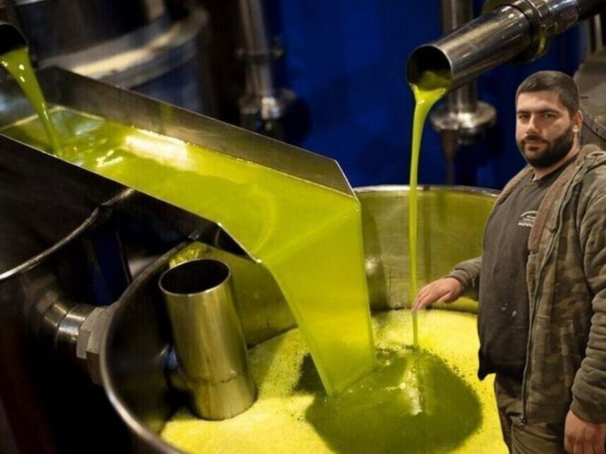 Στήριγμα τιμών  εν μέσω μειωμένης παραγωγής ελαιολάδου