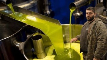 Στήριγμα τιμών  εν μέσω μειωμένης παραγωγής ελαιολάδου