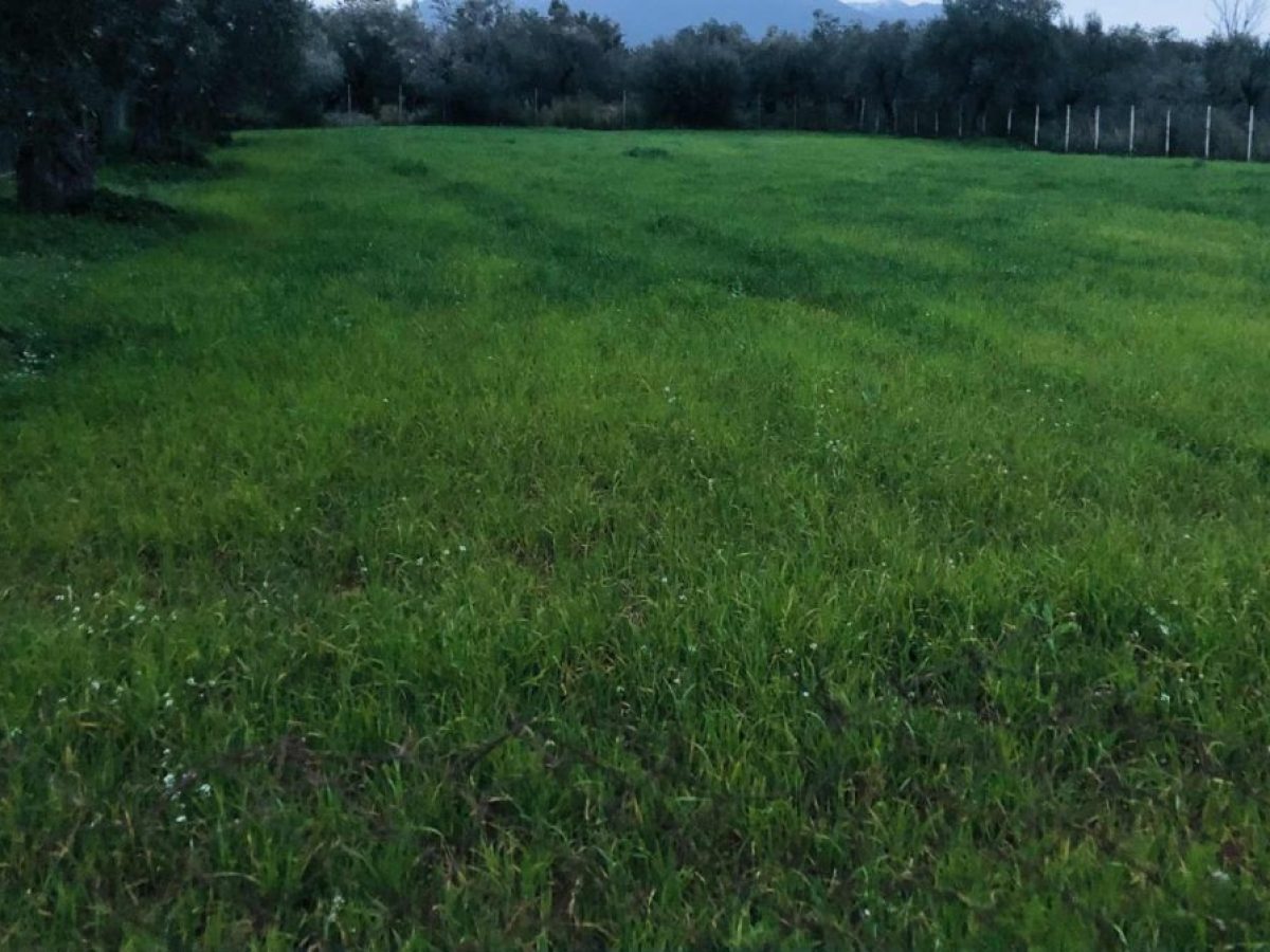 Στον “αέρα” 260 εκατ. ευρώ ενισχύσεων προς τους παραγωγούς