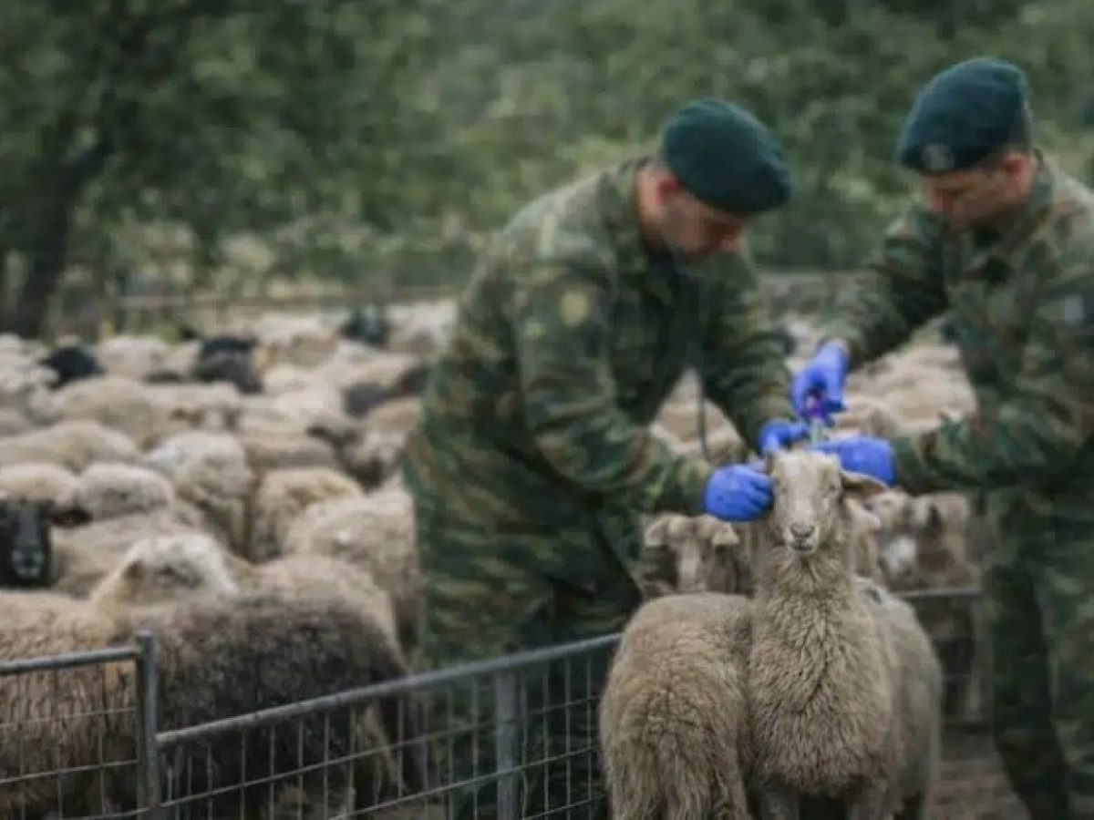 Στρατιωτικοί κτηνίατροι στη μάχη της ευλογιάς