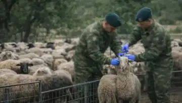 &Sigma;&tau;&rho;&alpha;&tau;&iota;&omega;&tau;&iota;&kappa;&omicron;ί &kappa;&tau;&eta;&nu;ί&alpha;&tau;&rho;&omicron;&iota; &sigma;&tau;&eta; &mu;ά&chi;&eta; &tau;&eta;&sigmaf; &epsilon;&upsilon;&lambda;&omicron;&gamma;&iota;ά&sigmaf;