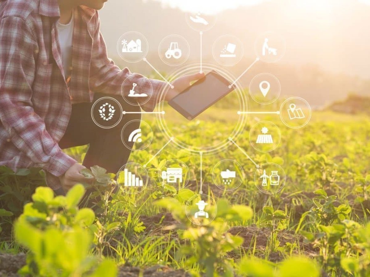 Τέλος χρόνου για τα ηλεκτρονικά τιμολόγια