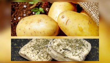 Τυροκομικά και πατάτες στην κορυφή των κυπριακών εξαγωγών προς την Ελλάδα