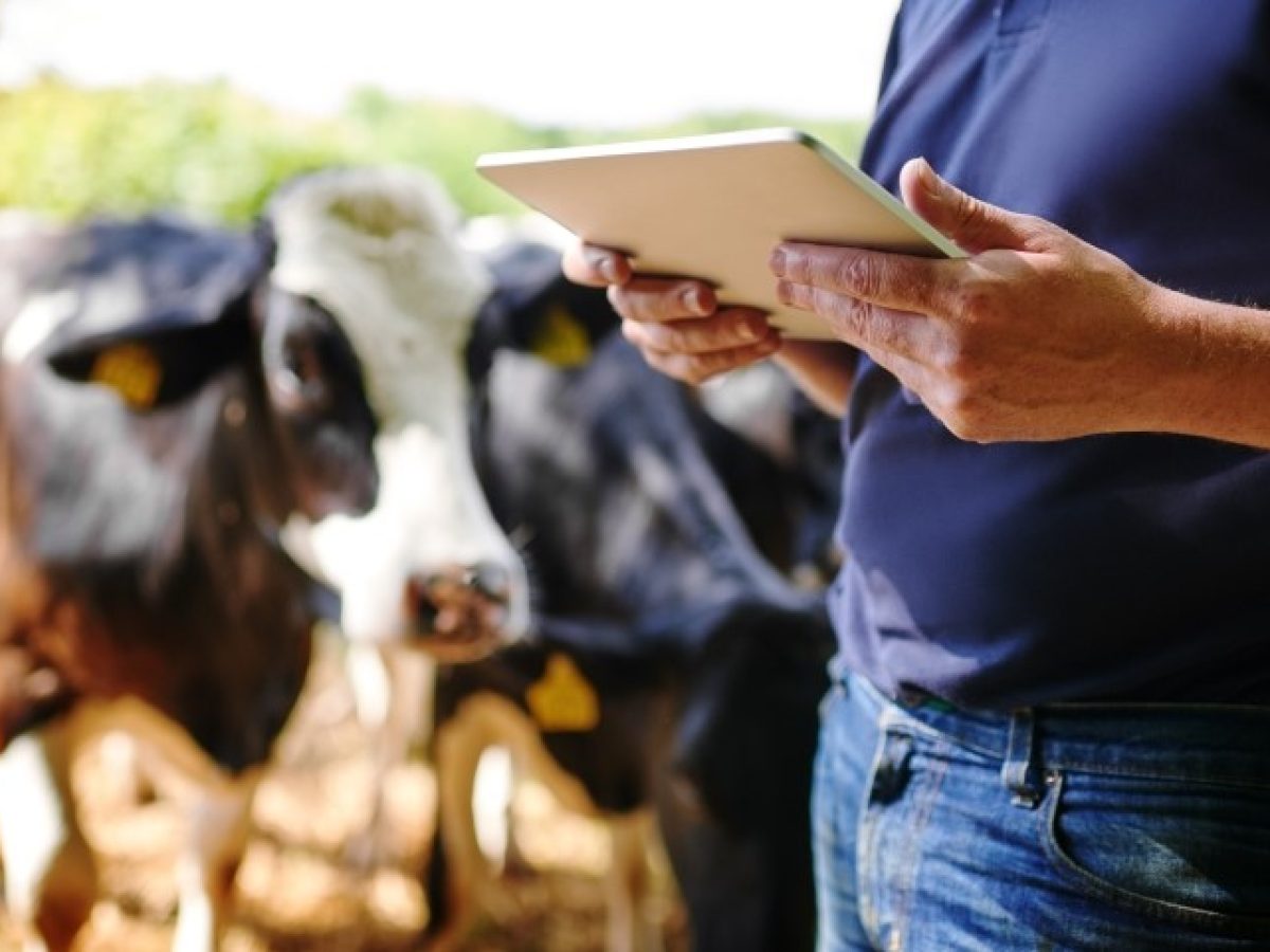 Βιολογικά τέλος – χρήματα αλλού
