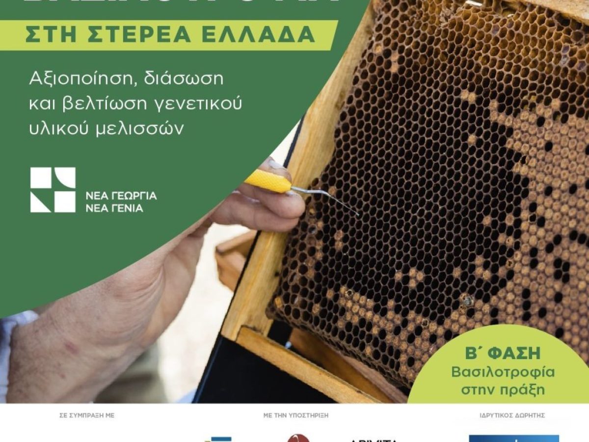 Ξεκίνησε οι εμβολιασμοί κελιών της β φάσης του προγράμματος βασιλοτροφίας από Νέα Γεωργία Νέα Γενιά