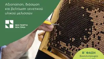 &Xi;&epsilon;&kappa;ί&nu;&eta;&sigma;&epsilon; &omicron;&iota; &epsilon;&mu;&beta;&omicron;&lambda;&iota;&alpha;&sigma;&mu;&omicron;ί &kappa;&epsilon;&lambda;&iota;ώ&nu; &tau;&eta;&sigmaf; &beta; &phi;ά&sigma;&eta;&sigmaf; &tau;&omicron;&upsilon; &pi;&rho;&omicron;&gamma;&rho;ά&mu;&mu;&alpha;&tau;&omicron;&sigmaf; &beta;&alpha;&sigma;&iota;&lambda;&omicron;&tau;&rho;&omicron;&phi;ί&alpha;&sigmaf; &alpha;&pi;ό &Nu;έ&alpha; &Gamma;&epsilon;&omega;&rho;&gamma;ί&alpha; &Nu;έ&alpha; &Gamma;&epsilon;&nu;&iota;ά