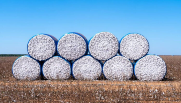 Αν και μείωση 3% στην παγκόσμια παραγωγή βαμβακιού το 2026/27 έχουμε άνοδο κατανάλωσης λέει το USDA