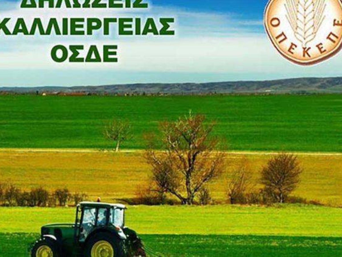 Ανοίγει το σύστημα ΕΑΕ 2024-2025 για διορθώσεις: Προθεσμίες και οδηγίες για αγρότες