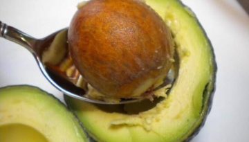 Αποκόρωνας: Ξεκινούν οι δηλώσεις ζημιάς στον ΕΛΓΑ για εσπεριδοειδή και αβοκάντο