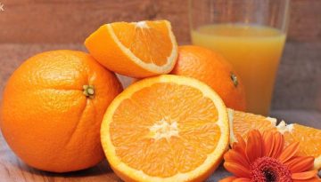 Αποζημιώσεις ΕΛΓΑ στον Πλατανιά: Προθεσμίες και δικαιολογητικά για τις ζημιές από την ανεμοθύελλα