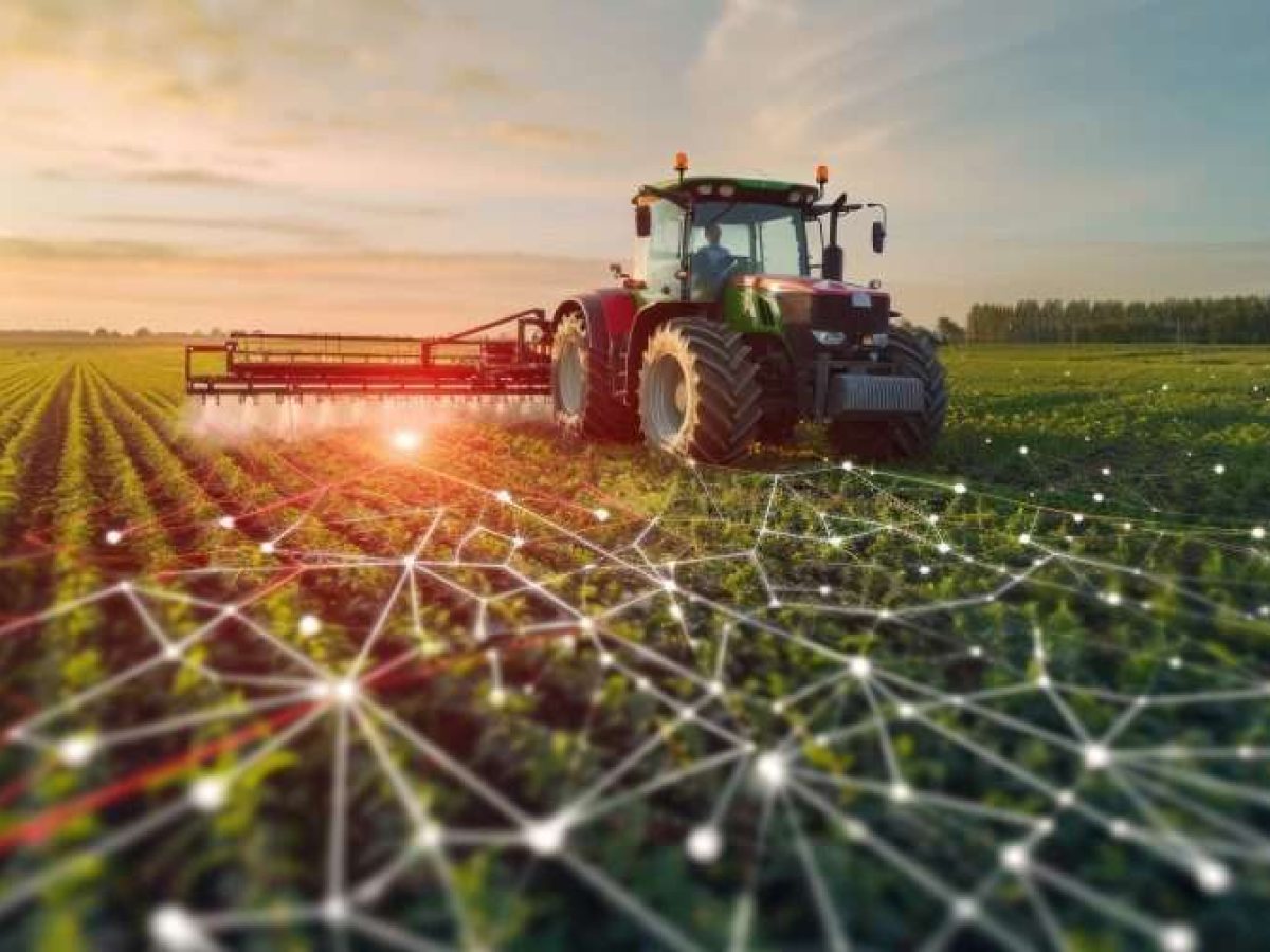 ΑΑΔΕ: Οδηγίες για τα «κίτρινα» αγροτεμάχια στο ΟΣΔΕ 2025