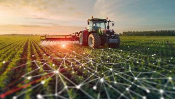 ΑΑΔΕ: Οδηγίες για τα «κίτρινα» αγροτεμάχια στο ΟΣΔΕ 2025