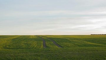 ΑΑΔΕ: Παράταση προθεσμιών για διορθώσεις ΕΑΕ και υποβολή φωτογραφιών στο AgriSnap