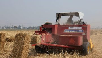 ΑΑΔΕ: Τη Δευτέρα ανοίγει ξανά το ΟΣΔΕ για διορθώσεις σε λάθη πληρωμών στην Ενιαία Αίτηση Ενίσχυσης 2024 και 2025