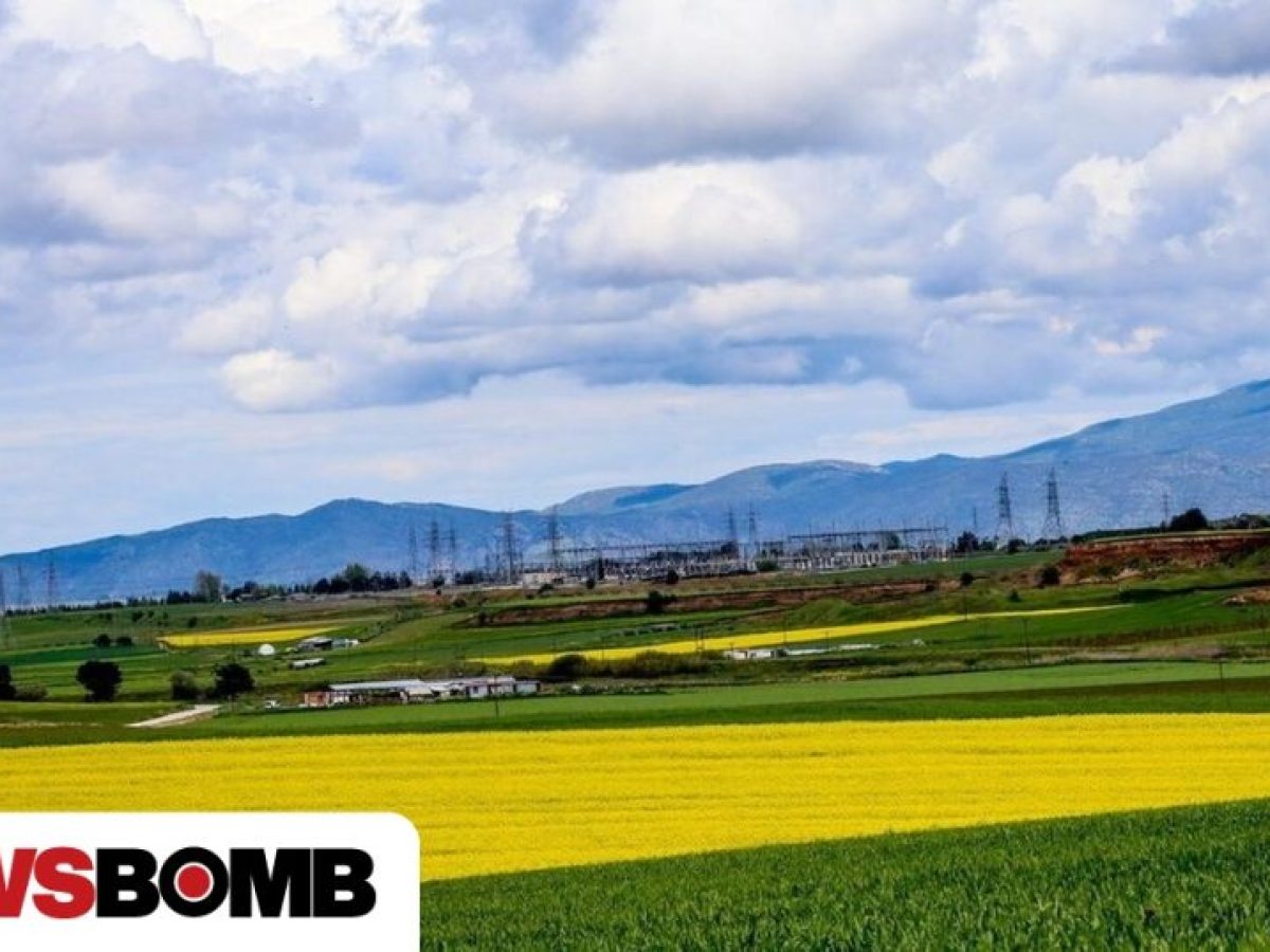 ΑΑΔΕ: Ανοίγει σήμερα το Σύστημα ΟΣΔΕ/ΕΑΕ 2024-2025 για διορθώσεις και συμπληρώσεις