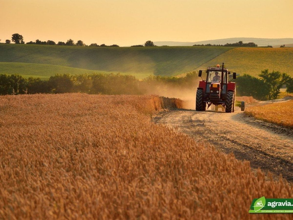 ΑΑΔΕ – Διορθώσεις για αγροτεμάχια έως 20 στρέμματα