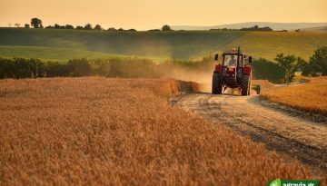 ΑΑΔΕ – Διορθώσεις για αγροτεμάχια έως 20 στρέμματα