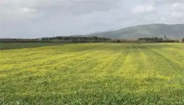 &Alpha;&gamma;&nu;&omicron;&omicron;ύ&nu;&tau;&alpha;&iota; &omicron;&iota; &pi;&lambda;&eta;&rho;&omega;&mu;έ&sigmaf; &gamma;&iota;&alpha; &tau;&alpha; &omicron;&iota;&kappa;&omicron;&lambda;&omicron;&gamma;&iota;&kappa;ά &sigma;&chi;ή&mu;&alpha;&tau;&alpha; &tau;&omicron;&upsilon; 2024