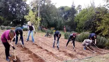 &Alpha;&gamma;&rho;ό&tau;&epsilon;&sigmaf;: &Omicron;&upsilon;&rho;&alpha;&gamma;ό&sigmaf; &eta; &Epsilon;&lambda;&lambda;ά&delta;&alpha; &sigma;&tau;&eta;&nu; &alpha;&gamma;&rho;&omicron;&tau;&iota;&kappa;ή &epsilon;&kappa;&pi;&alpha;ί&delta;&epsilon;&upsilon;&sigma;&eta;