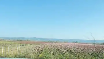 &Alpha;&pi;ό&phi;&alpha;&sigma;&eta; &kappa;&alpha;&theta;&omicron;&rho;&iota;&sigma;&mu;&omicron;ύ &sigma;&upsilon;&nu;&epsilon;&chi;&iota;&zeta;ό&mu;&epsilon;&nu;&eta;&sigmaf; &pi;&rho;ά&xi;&eta;&sigmaf; &tau;&eta;&sigmaf; &delta;&rho;ά&sigma;&eta;&sigmaf; 5.1.1