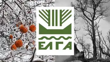 &Alpha;&rho;&chi;έ&sigmaf; &Alpha;&pi;&rho;&iota;&lambda;ί&omicron;&upsilon; &pi;&lambda;&eta;&rho;ώ&nu;&epsilon;&iota; &omicron; &Epsilon;&Lambda;&Gamma;&Alpha; &gamma;&iota;&alpha; &tau;&iota;&sigmaf; &zeta;&eta;&mu;&iota;έ&sigmaf; &tau;&omicron;&upsilon; 2025