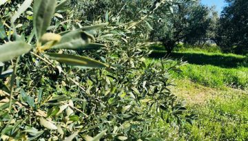 Aιτήσεις για νέο επιδοτούμενο πρόγραμμα κατάρτισης στη Ηγουμενίτσα