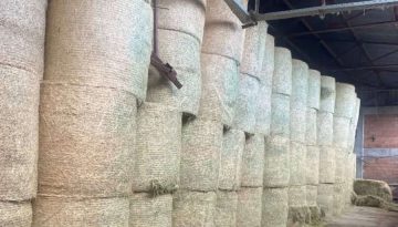 De minimis για μηδική: Eξαιρετικά αμφίβολη η πληρωμή πριν το Πάσχα