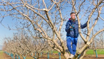 Tι μπλοκάρει τις πληρωμές σε Σχέδια Βελτίωσης και Νέους Αγρότες