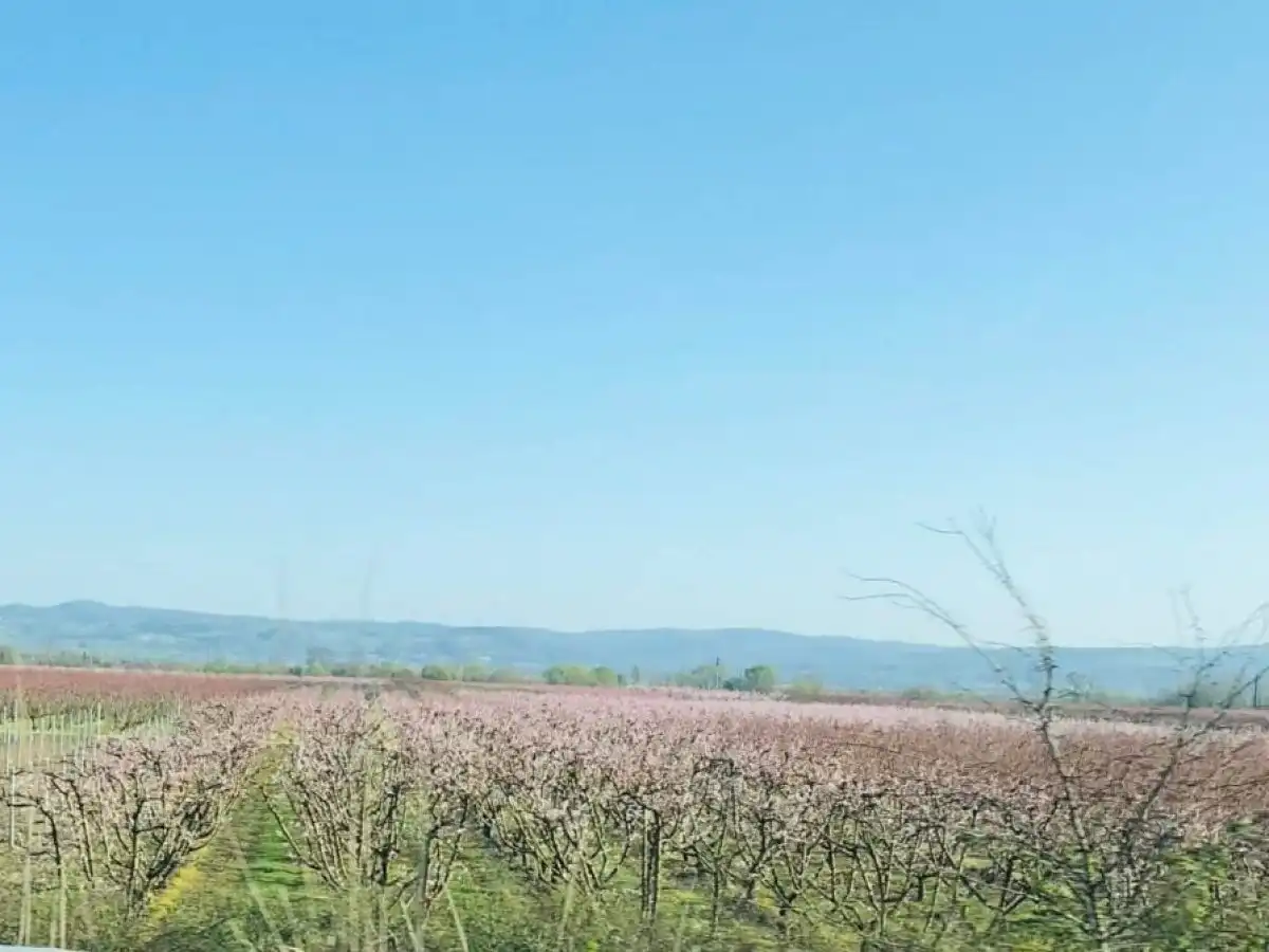 &Chi;&alpha;&lambda;&alpha;&zeta;&omicron;&pi;&tau;ώ&sigma;&epsilon;&iota;&sigmaf; &sigma;&epsilon; &delta;&iota;ά&phi;&omicron;&rho;&alpha; &mu;έ&rho;&eta;, &zeta;&eta;&mu;&iota;έ&sigmaf; &alpha;&pi;ό &pi;&alpha;&gamma;&epsilon;&tau;ό &pi;&rho;&iota;&nu; &mu;&epsilon;&rho;&iota;&kappa;έ&sigmaf; &mu;έ&rho;&epsilon;&sigmaf;