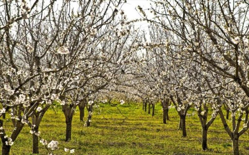 dio-xechoristes-anixiatikes-ekdilosis-me